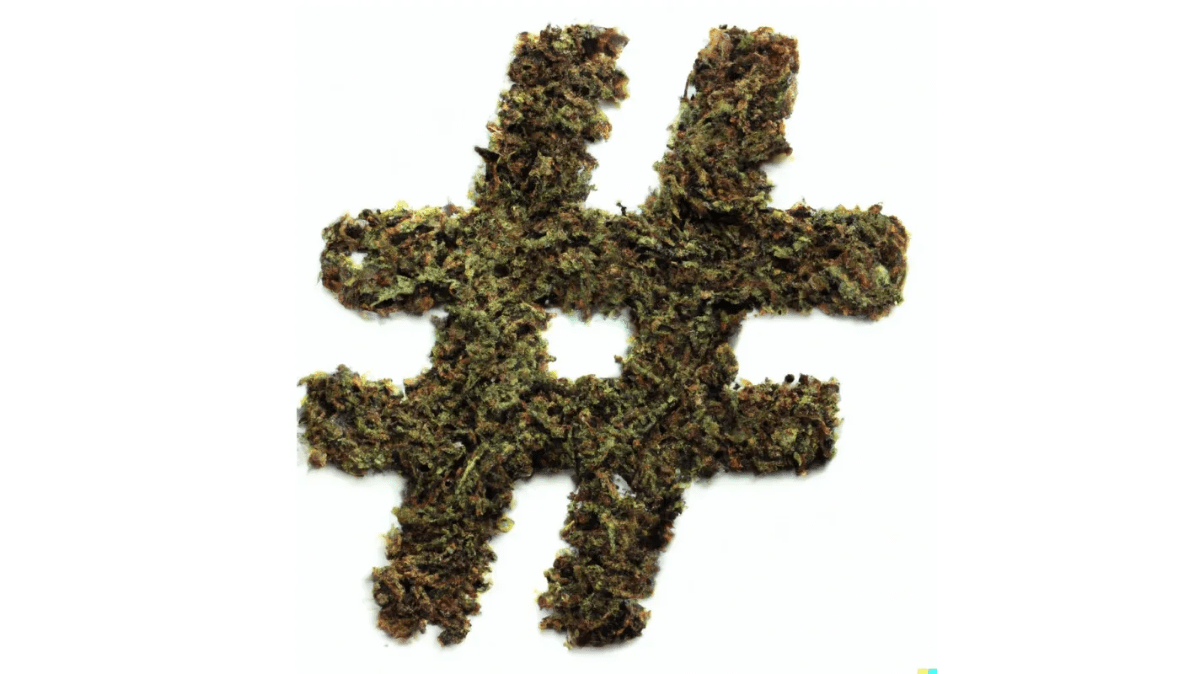 40 Cannabis Hashtags to Enhance Your Content Marketing Strategy
